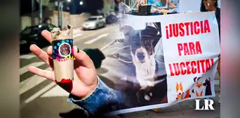 Niños reventaron pirotécnico en la boca de perrita en Moquegua: can está grave Niños reventaron pirotécnico en la boca de perrita en Moquegua: can está grave