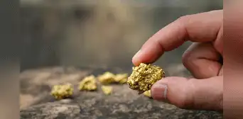 Científicos descubrieron el método para fabricar oro de forma natural: una bacteria es la solución