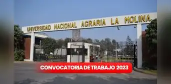 Trabaja en la Universidad Agraria de La Molina: conoce los requisitos y plazas disponibles Trabaja en la Universidad Agraria de La Molina: conoce los requisitos y plazas disponibles