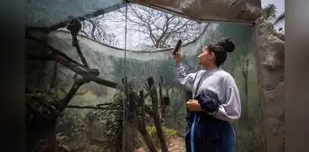 Parque de las Leyendas brinda cursos de verano 2024 para niños y adolescentes: ¿cuáles son? Parque de las Leyendas brinda cursos de verano 2024 para niños y adolescentes: ¿cuáles son?