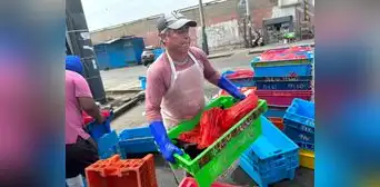 Callao: precios de pescados hasta se quintuplicaron por oleajes anómalos Callao: precios de pescados hasta se quintuplicaron por oleajes anómalos