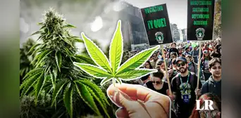 El único país de Sudamérica en el que es legal el consumo recreativo de la marihuana El único país de Sudamérica en el que es legal el consumo recreativo de la marihuana
