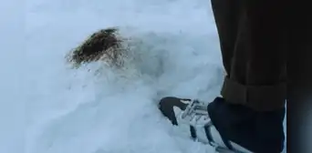 Cuando la orina se vuelve negra: la condición de los sobrevivientes de 'La sociedad de la nieve' Cuando la orina se vuelve negra: la condición de los sobrevivientes de 'La sociedad de la nieve'