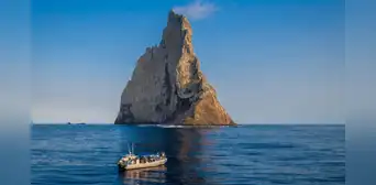 El islote en medio del Pacífico donde reapareció un insecto gigante que se creía extinto por 40 años El islote en medio del Pacífico donde reapareció un insecto gigante que se creía extinto por 40 años