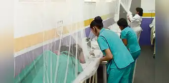 Dengue amenaza nuevamente a la salud pública en el Perú Dengue amenaza nuevamente a la salud pública en el Perú