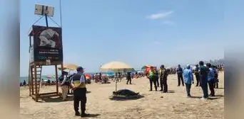 Barranco: surfista halla el cuerpo sin vida de un joven ahogado en playa Los Yuyos Barranco: surfista halla el cuerpo sin vida de un joven ahogado en playa Los Yuyos