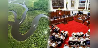 Especialistas sobre Ley Forestal en el Congreso: “Nuestras autoridades están regalando el Perú”