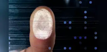 Estudio con IA desafía la creencia de que todas las huellas dactilares son únicas Estudio con IA desafía la creencia de que todas las huellas dactilares son únicas