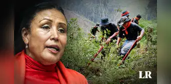 Elizabeth Medina, la autora de la nueva Ley Forestal vinculada a cocaleros del Alto Huallaga