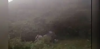 Huancavelica: hermana y cuñado de cantante Paulino de los Andes mueren al caer camioneta a abismo Huancavelica: hermana y cuñado de cantante Paulino de los Andes mueren al caer camioneta a abismo