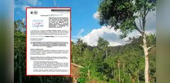 Congresista Alfredo Pariona presenta proyecto para derogar modificaciones a Ley Forestal Congresista Alfredo Pariona presenta proyecto para derogar modificaciones a Ley Forestal