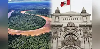 Ley Forestal: ¿de qué trata la norma que el Congreso aprobó y que promueve la deforestación?