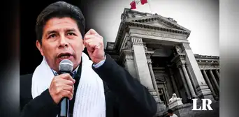 Pedro Castillo: Poder Judicial admite a trámite apelación para revocar prisión preventiva por 18 meses