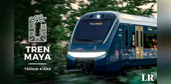 ¿Cuáles son los 3 servicios de trenes que ofrece el Tren Maya y en qué se diferencian?