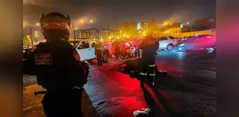 Caballo de la PNP muere tras chocar con vehículo por huir de pirotécnicos en Noche Blanquiazul