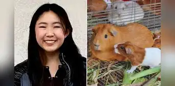 ¿Cómo ganar más de US$400.000 vendiendo jaulas para cuyes? conoce la historia de Bella Lin