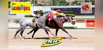 Traqueos y pronósticos 5y6 La Rinconada: datos fijos de Gaceta Hípica y Fusión Hípica para el domingo 21 de enero Traqueos y pronósticos 5y6 La Rinconada: datos fijos de Gaceta Hípica y Fusión Hípica para el domingo 21 de enero