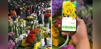 Mercado Mayorista de Flores de Lima lanza su primera app para comprar en línea: ¿cómo descargarla? Mercado Mayorista de Flores de Lima lanza su primera app para comprar en línea: ¿cómo descargarla?