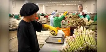 Número de empresas exportadoras incrementó en 3% hasta noviembre de 2023 Número de empresas exportadoras incrementó en 3% hasta noviembre de 2023