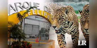 Parque de las Leyendas: ¿cuál es el precio de entradas y cómo comprar por internet? Parque de las Leyendas: ¿cuál es el precio de entradas y cómo comprar por internet?