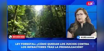 Ley Forestal. Lucila Pautrat: “Se han deforestado aproximadamente 11 millones de hectáreas a nivel nacional