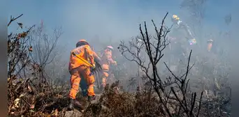 [EN VIVO] Incendio forestales Colombia HOY: departamentos se declaran en emergencia por altas temperaturas