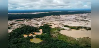 Ley Forestal. Lucila Pautrat: “Se han deforestado aproximadamente 11 millones de hectáreas a nivel nacional Ley Forestal. Lucila Pautrat: “Se han deforestado aproximadamente 11 millones de hectáreas a nivel nacional