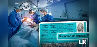 Todo ciudadano sería donante de órganos de manera automática en el sistema, según el Minsa Todo ciudadano sería donante de órganos de manera automática en el sistema, según el Minsa