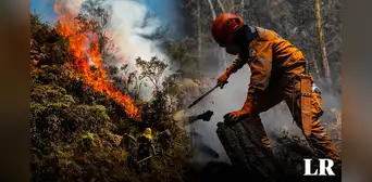 ¿Qué está pasando en Colombia? Bogotá y otras regiones son invadidas por incendios forestales ¿Qué está pasando en Colombia? Bogotá y otras regiones son invadidas por incendios forestales