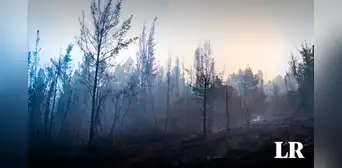 Más de 17.000 hectáreas fueron afectadas por incendio forestal en Colombia: aún figuran 34 incendios activos Más de 17.000 hectáreas fueron afectadas por incendio forestal en Colombia: aún figuran 34 incendios activos
