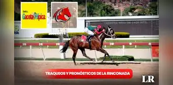 Traqueos y pronósticos 5y6 La Rinconada: datos fijos de Gaceta Hípica y Fusión Hípica para el 28 de enero Traqueos y pronósticos 5y6 La Rinconada: datos fijos de Gaceta Hípica y Fusión Hípica para el 28 de enero