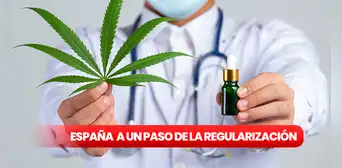 Cannabis medicinal en España: ¿cuáles serán los nuevos cambios en 2024?