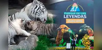 Parque de las Leyendas de Huachipa: guía completa para comprar entradas ONLINE en el zoológico de ATE