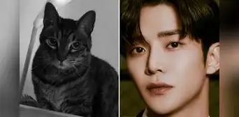 Rowoon le dice adiós a su gato tras 18 años juntos: "Cuando llegue mi hora ven a mi encuentro"