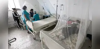 2024 se inició con altas cifras de dengue: 35% más que el año anterior 2024 se inició con altas cifras de dengue: 35% más que el año anterior