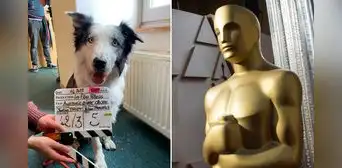 Messi, el perro actor que compite en los Premios Oscar 2024 y que podría vencer a ‘Oppenheimer’