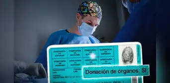 ¿A partir de cuándo regirá la nueva LEY de donación automática de órganos?