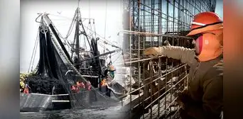 Pesca y consumo de cemento cerraron el 2023 en rojo