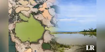 Madre de Dios: bosques amazónicos se están convirtiendo en humedales por minería ilegal