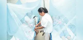 Incrementa en 40% los casos de dengue en el país respecto a 2023 Incrementa en 40% los casos de dengue en el país respecto a 2023