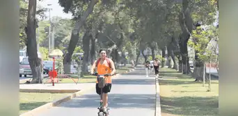 Más árboles contra las olas de calor en Lima Más árboles contra las olas de calor en Lima