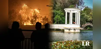 Incendios en Viña del Mar consumen el Jardín Botánico y dejan 4 muertos