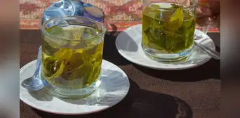 Mate de coca entre las 20 peores bebidas de Sudamérica, según Taste Atlas