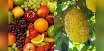 La tropical fruta de 7 sabores que ayuda a prevenir el cáncer y aporta vitamina C de manera natural