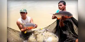 Fondepes prevé capacitar a más de 15.000 acuicultores y pescadores artesanales en 2024