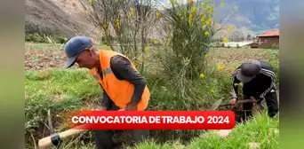 ¡Trabajo en Lima! Ministerio de Desarrollo Agrario ofrece empleos con sueldos de hasta S/12.000