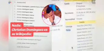 Peruano queda sorprendido al ver en Wikipedia la vida sentimental de Christian Domínguez Peruano queda sorprendido al ver en Wikipedia la vida sentimental de Christian Domínguez