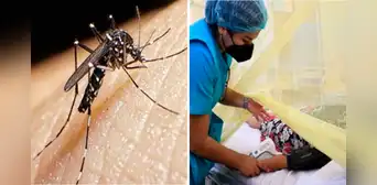 ¿Sabes cómo diferenciar el dengue de la gripe? Consejos de experta ¿Sabes cómo diferenciar el dengue de la gripe? Consejos de experta