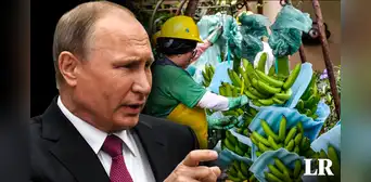 Ecuador podría perder a Rusia como cliente de plátanos tras apoyo a Estados Unidos Ecuador podría perder a Rusia como cliente de plátanos tras apoyo a Estados Unidos