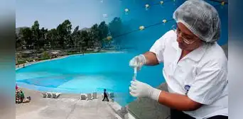 San Juan de Lurigancho: ¿cuáles son las 22 piscinas declaradas no saludables por el Minsa?